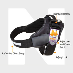 A black dog harness with safety features and reflective strips.