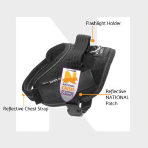 Black reflective chest strap with flashlight holder and National patch.