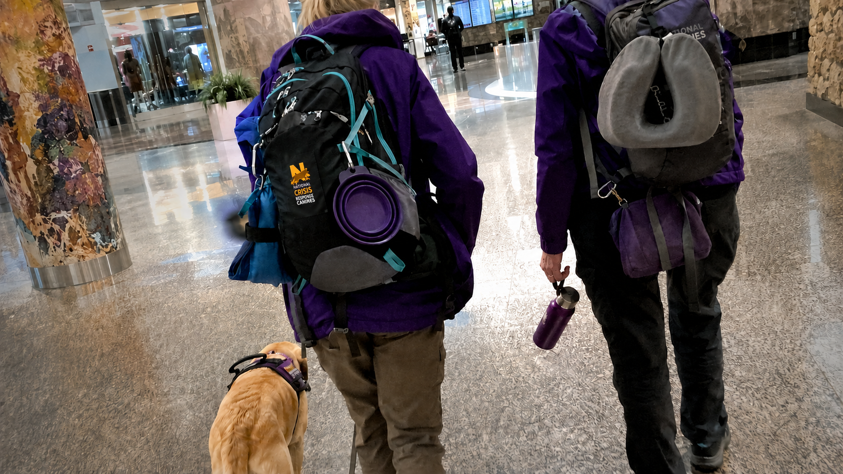 Two crisis response canine teams walk through an airport.