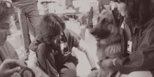 Vet teaching crisis response canine teams first aid for working dogs.