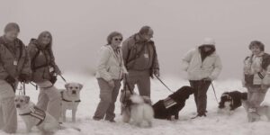 Crisis response canine training with several teams on snow.