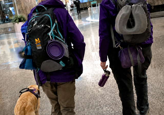 Two crisis response canine teams walk through an airport.