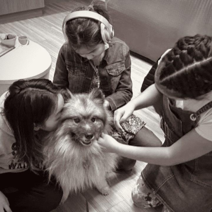 Young students petting a crisis response canine after a traumatic event.