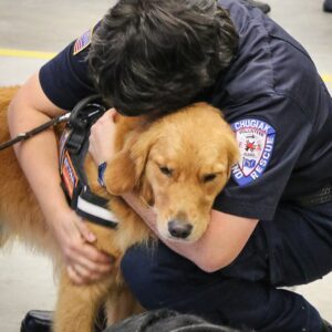A crisis response canine, a golden lab, being hugged by a rescue worker in need of emotional relief.