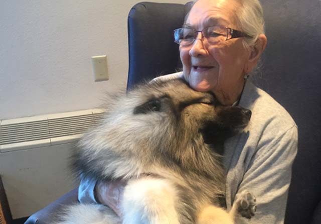 Smiling older Alaska Native woman snuggles with a fluffy crisis canine on her lap.