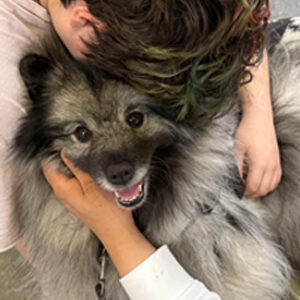Crisis Response Canine being held by a teen in a traumatic situation.